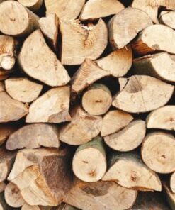 buy birch firewood